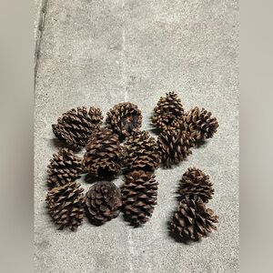 Natural Brown Pine Cones - Home Accents